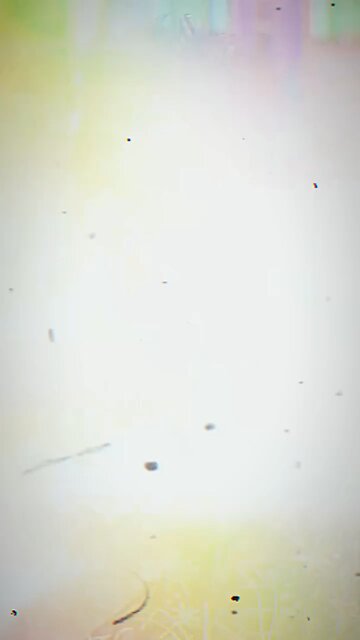 "Unforgettable: The Best Line for All Time"