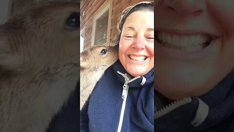 A woman adopted a little deer and raised him