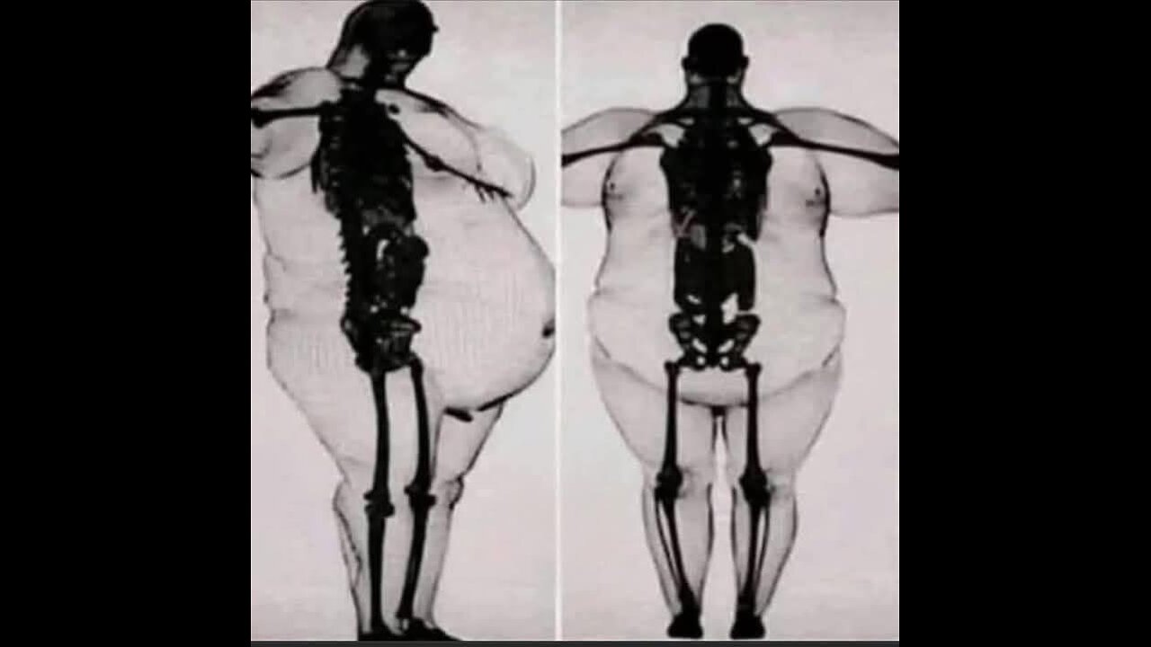 Bones Investigation: Films
