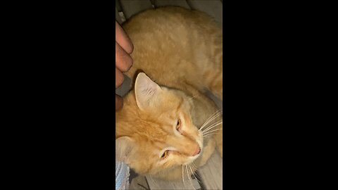 34/90 Days Challenge Vlog