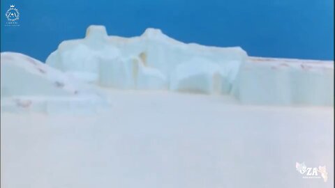 Pingu Cartoons