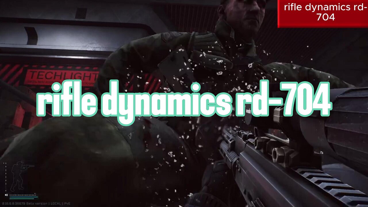 Escape from Tarkov rifle dynamics rd-704