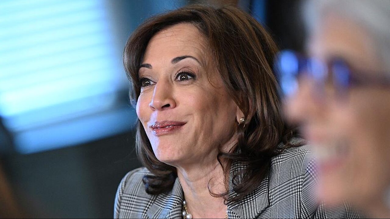 Kamala Harris Considers Launching Think-Tank Following 2024 Loss. Report