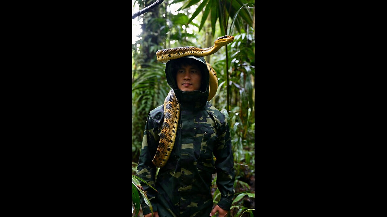a snake attack this man in forest