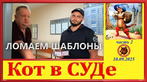 КОТ В СУДЕ- МИАПП, ЛОМАЕМ ШАБЛОНЫ