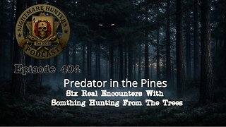 Six Real Encounters With Something Hunting From the Trees!