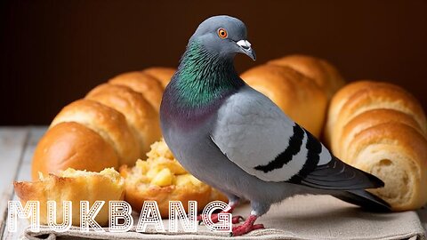 [RU] Russian Mukbang [Dove with bread / Panasonic HC-X1600]