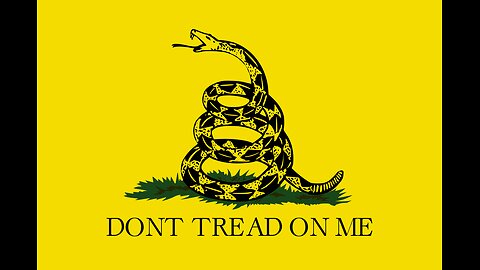 Countries That Are Proof That Libertarianism Actually Works. 🇪🇪🇱🇮🇨🇭🇨🇿🇬🇪🇵🇱🇲🇨🇦🇩🇺🇸