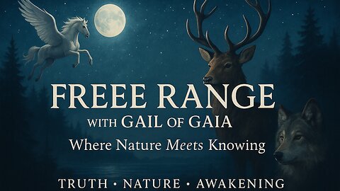 Weekend Video Replays & The Awakening Process