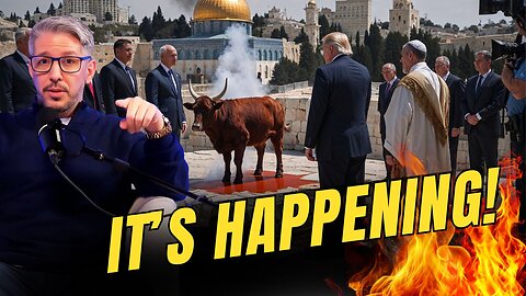 Latest News About Red Heifer In Israel & Third Temple Construction