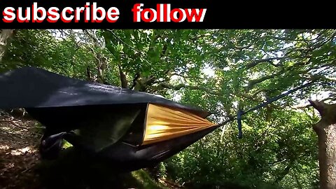 #hammock , #pitching , setting up camp , #woods, #trees ,