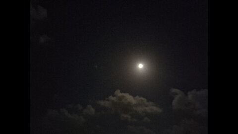 Under the Moonlight
