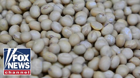 BEAN BENEFITS: Viral TikTok trend promises digestion, skin benefits