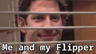 A year with my flipper, Eelid3e7