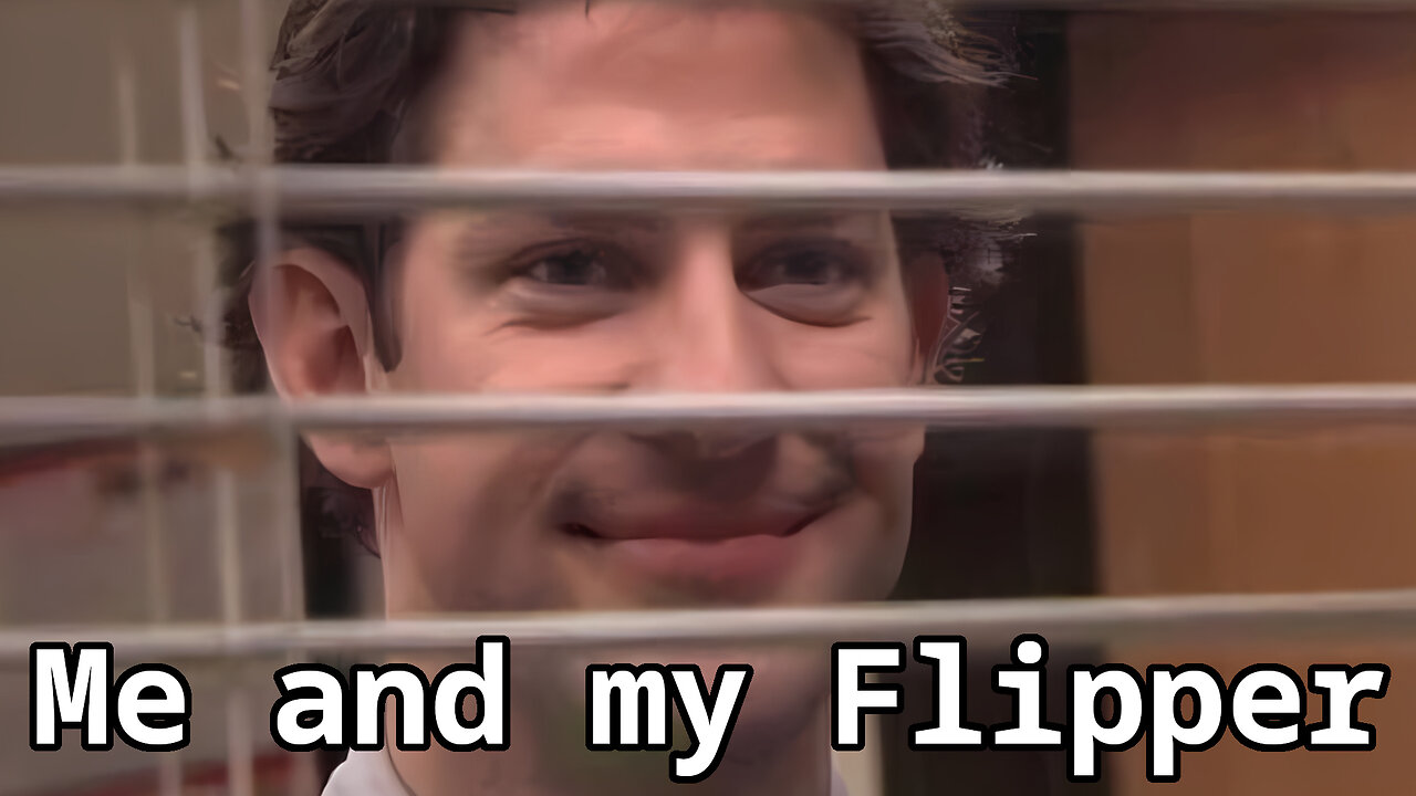 A year with my flipper, Eelid3e7