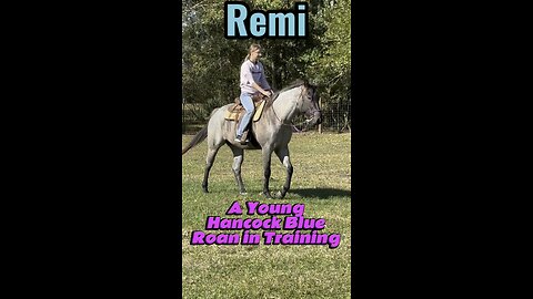 Riding Into the Future: Young Cowgirl & Hancock Blue Roan