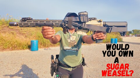 Sugar Weasel by Q | Is It More Than Just a Fun Name?