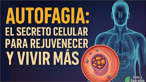 ES - AUTOFAGIA: El Secreto Celular para Rejuvenecer y Vivir Más