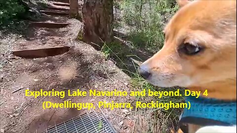 Exploring Lake Navarino and beyond. Day 4 (Dwellingup, Pinjarra, Rockingham)