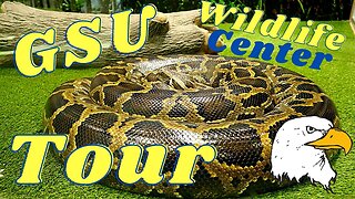 Georgia Southern Wildlife Center