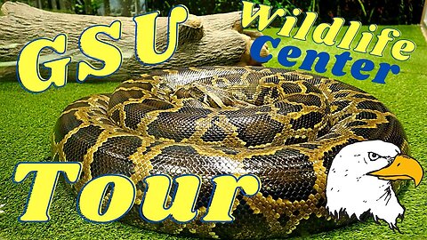 Georgia Southern Wildlife Center