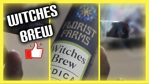 Witches Brew from Florist Farms