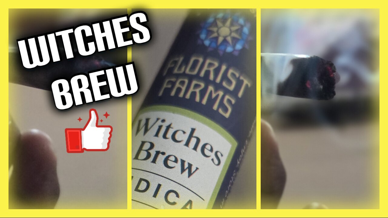Witches Brew from Florist Farms