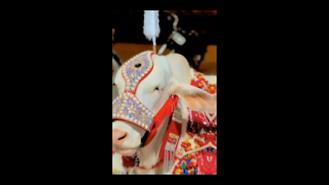 Eid mubarik #trending #explore #fyp