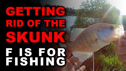 Getting Rid of the Skunk