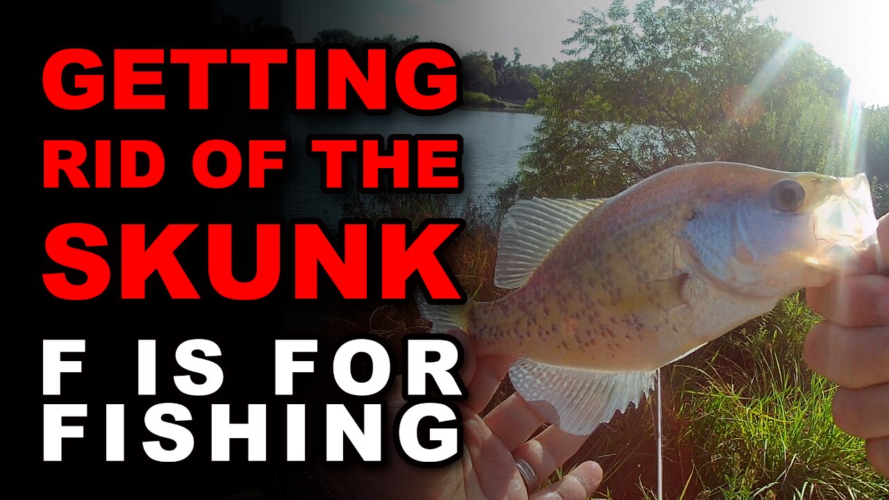 Getting Rid of the Skunk