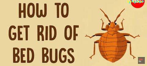 How to get rid of Bed Bugs