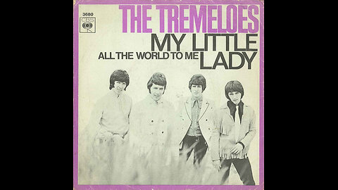 The Tremeloes --- My Little Lady