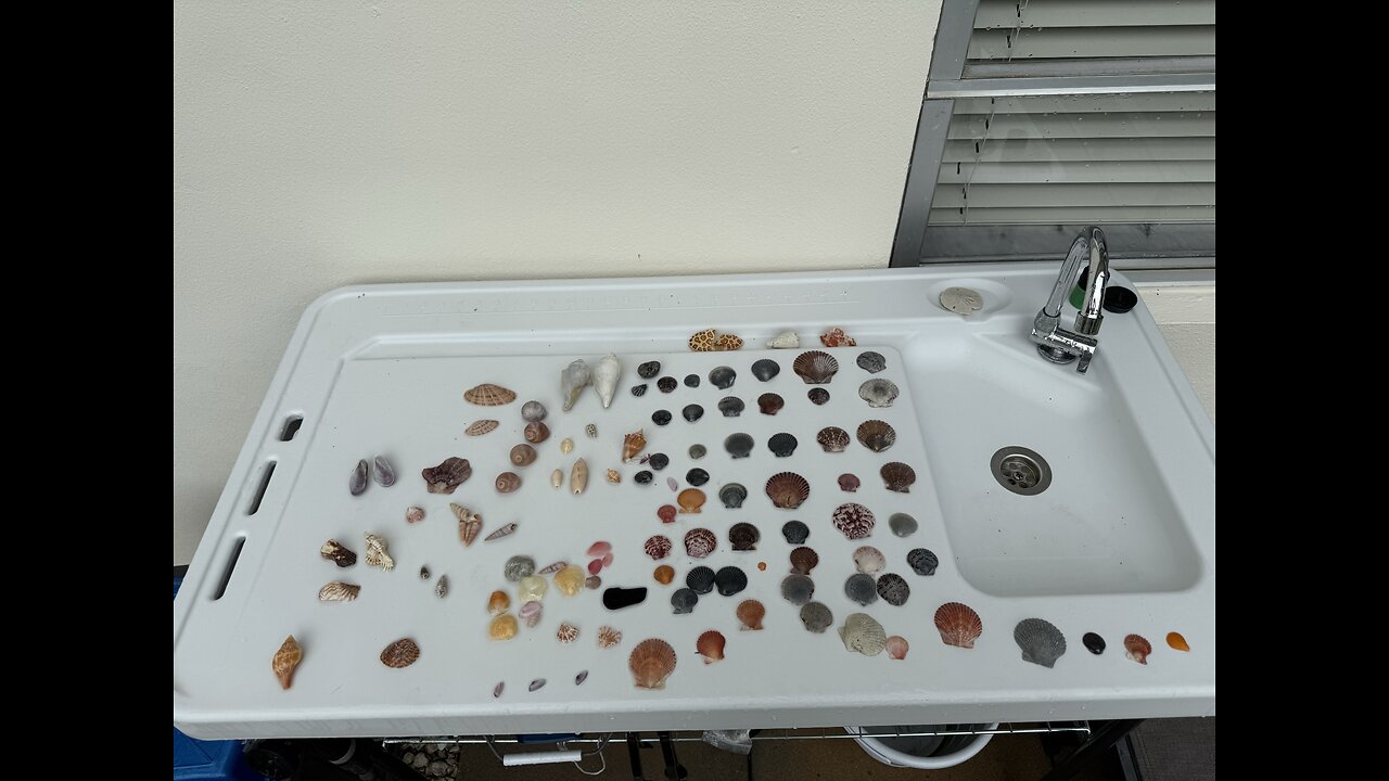 Beach Finds 7/1/2025 | 4K