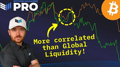 Forget Global Liquidity - Watch This Instead 