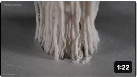 "Understanding the White Fibers in Vaccine-Related Blood Clots"