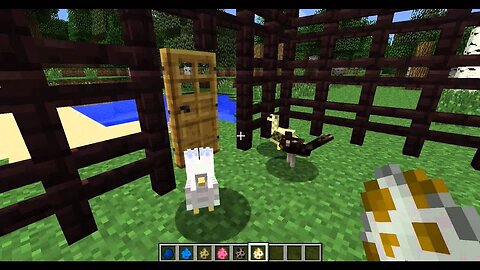 More birds IN MINECRAFT!!