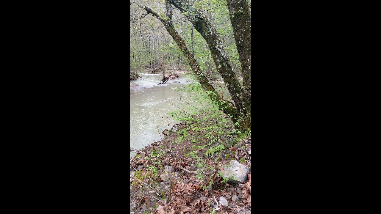 Flooding update April 6 2025 (3)