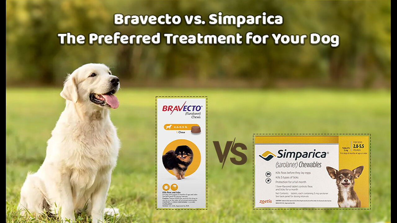 Bravecto vs. Simparica – The Preferred Treatment for Your Dog