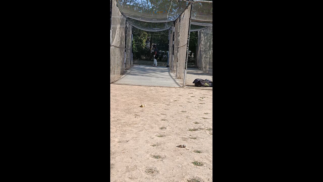 cricket practice and the best time