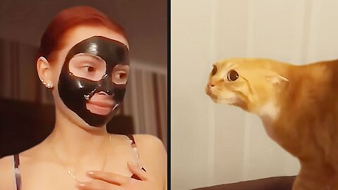 The Cat Had No Idea