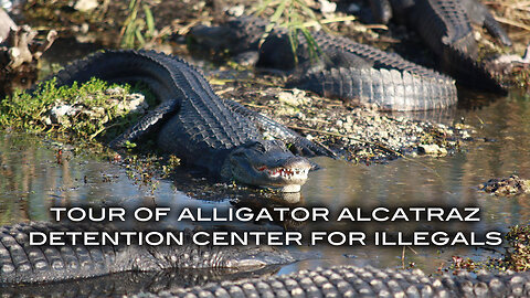 Tour of Alligator Alcatraz Detention Center for Illegals