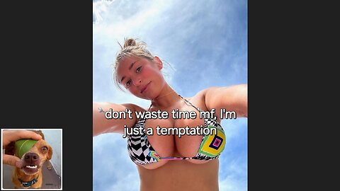 Memes That Will 99.0213% Make You Laugh. (e437)