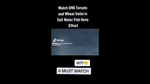 THEY LIVE! GMO plants come back to life in salt water?