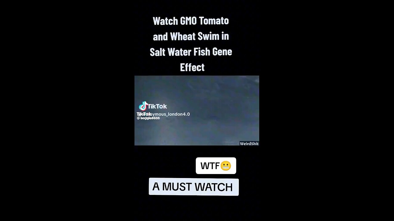 THEY LIVE! GMO plants come back to life in salt water?