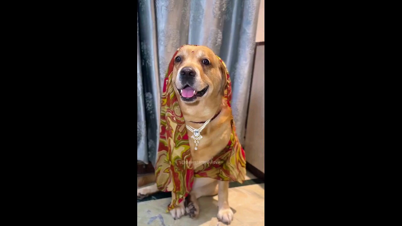 मै घर जाऊ