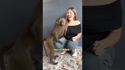 Funny Animals #funnyanimals #pets #animals #shorts