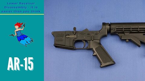 COMPLETELY DISASSEMBLE AN AR LOWER - Step by step AR 15 Disassembly
