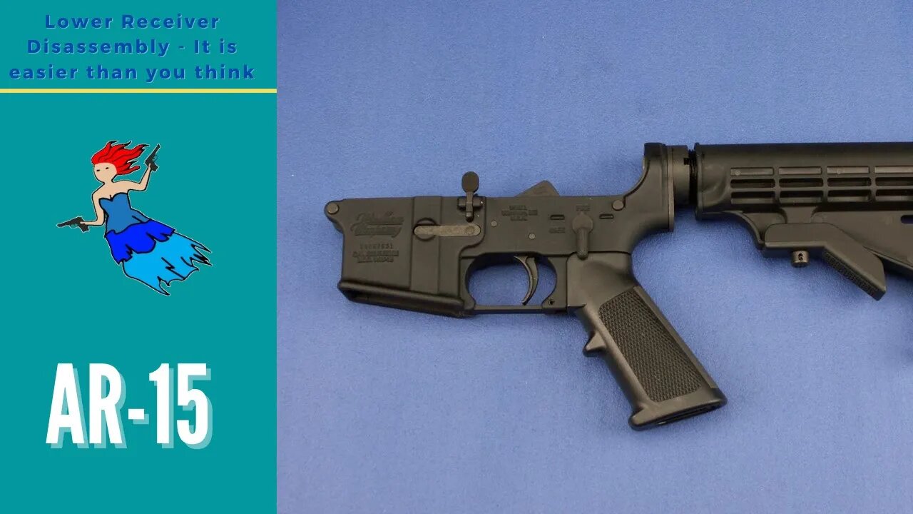 COMPLETELY DISASSEMBLE AN AR LOWER - Step by step AR 15 Disassembly