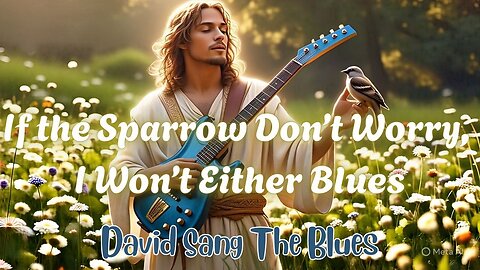 If the Sparrow Don’t Worry, I Won’t Either | A Scripture Blues Prayer