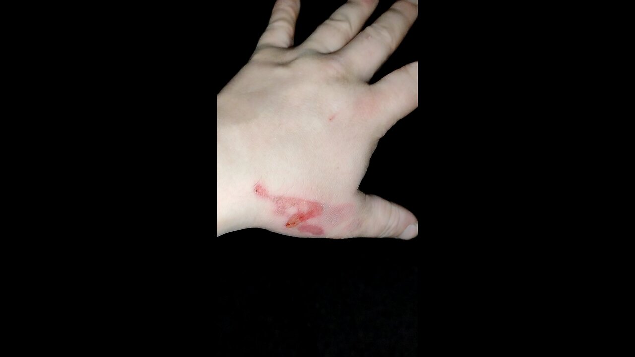 Hey Guys! I'm not Dead!!